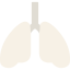 Lungs ícono 64x64
