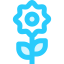 Flower icon 64x64