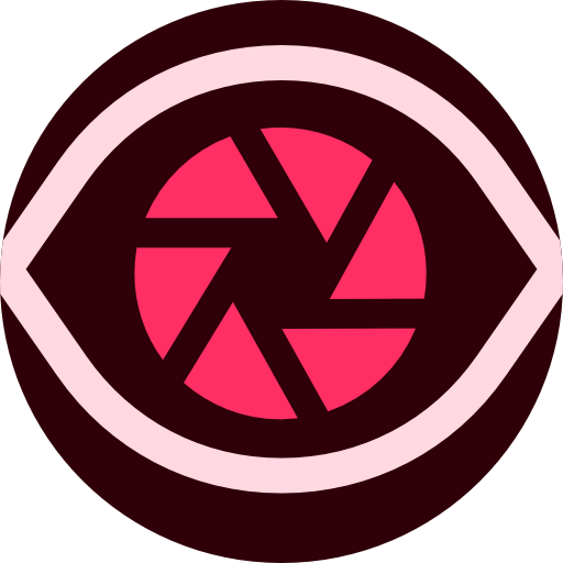 Capture icon