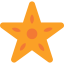 Starfish icon 64x64