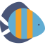 Fish 상 64x64