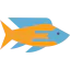 Fish 상 64x64