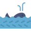 Whale icon 64x64
