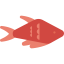 Fish 상 64x64
