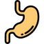 Stomach icon 64x64