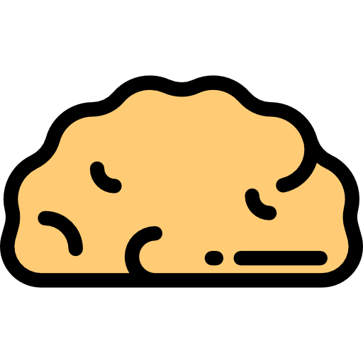 Brain icon