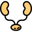 Kidneys Symbol 64x64