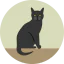 Black cat іконка 64x64