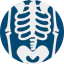 Skeleton biểu tượng 64x64