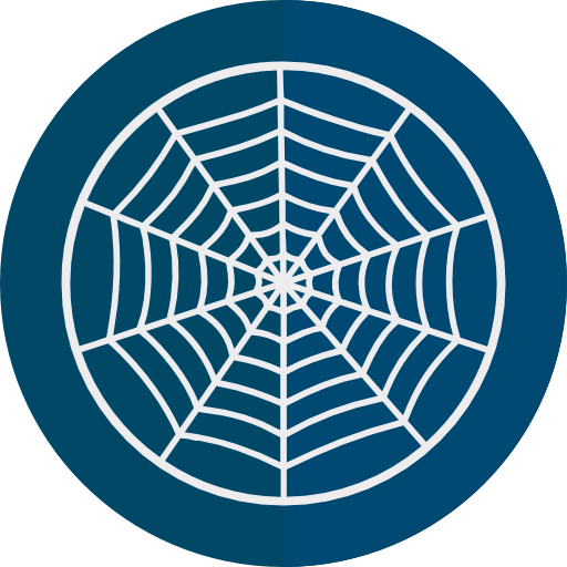 Spider web icon