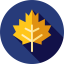 Maple leaf biểu tượng 64x64
