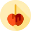 Caramelized apple icon 64x64