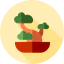 Bonsai іконка 64x64
