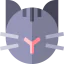 Кот иконка 64x64