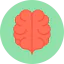 Brain icon 64x64