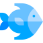 Fish 상 64x64