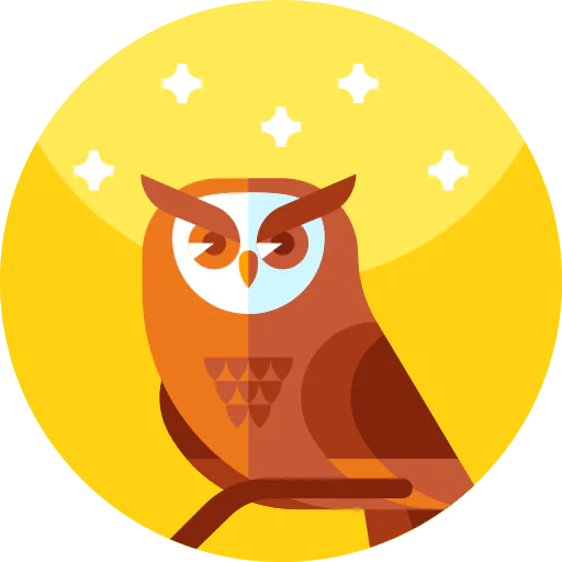 Owl icon