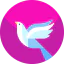 Dove icon 64x64