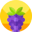 Grapes 상 64x64