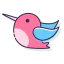 Hummingbird icon 64x64