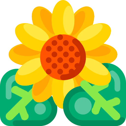 Sunflower icon