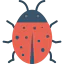 Ladybug icon 64x64