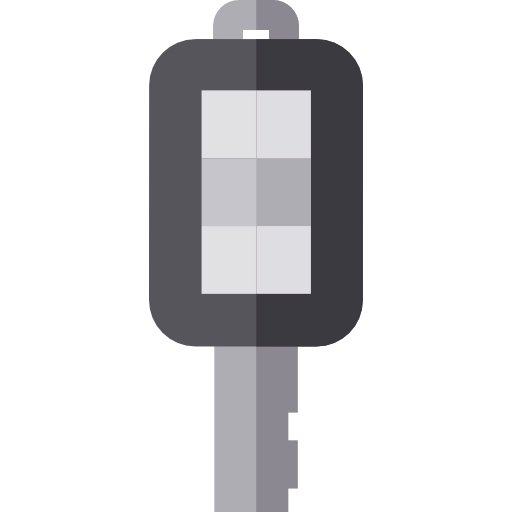Key icon
