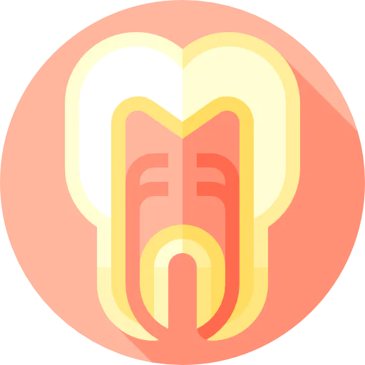 Tooth icon