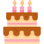 Birthday cake icon 64x64
