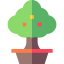 Tree ícone 64x64