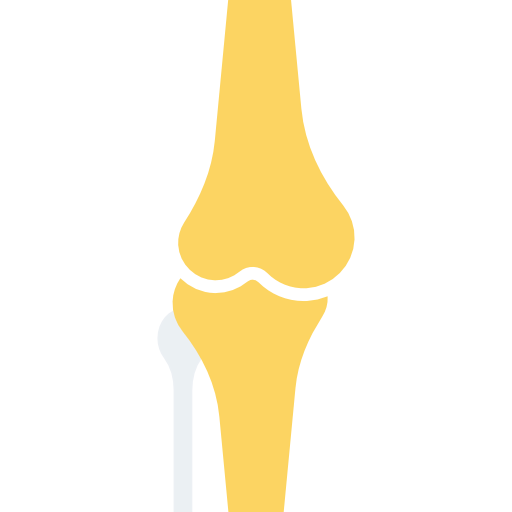Knee icon