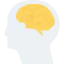 Brain biểu tượng 64x64