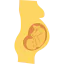 Pregnancy icon 64x64