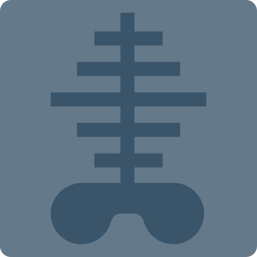 X ray icon