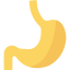 Stomach 图标 64x64