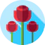 Roses icon 64x64