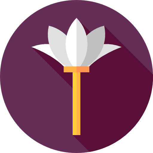 Duster icon