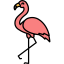 Flamingo 图标 64x64