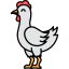 Chicken biểu tượng 64x64