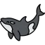 Orca icon 64x64