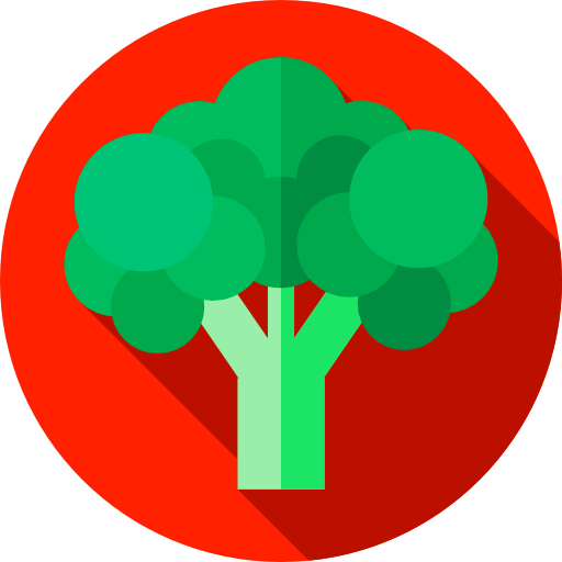 Broccoli icon