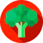 Broccoli biểu tượng 64x64