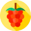Raspberry 상 64x64