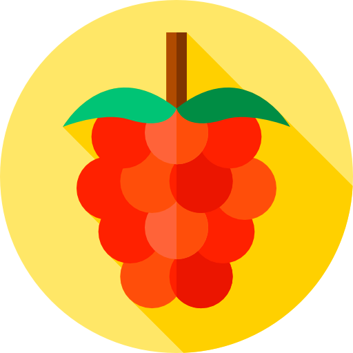 Raspberry icon
