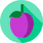 Plum icon 64x64