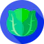 Lettuce icon 64x64