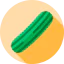 Cucumber icon 64x64