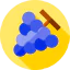 Grape 상 64x64