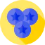 Blueberry icon 64x64