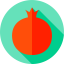 Pomegranate icon 64x64